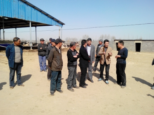 纽约国际官网教师为奶牛养殖户举办科技培训